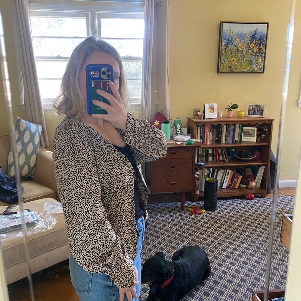 Lulus Cheetah print blouse